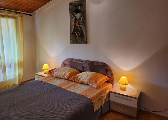 Dina 3 * פאז'אנה